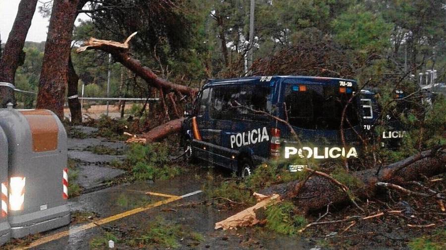 Un furgón de la Policía Nacional, bajo un árbol caído por el temporal en Salou. FOTO: dt