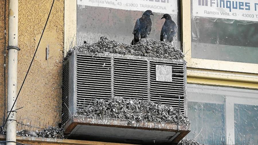 Aparato de aire acondicionado de un edificio del centro. Nótense las púas en la cornisa. FOTO: Pere Ferré