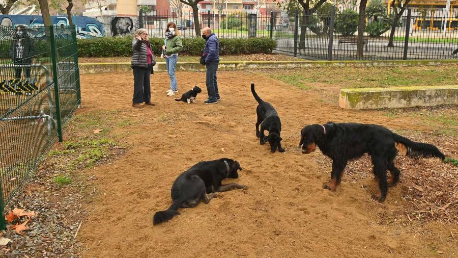 El nuevo espacio de recreo para perros del Parc de Mas Iglesias fue presentado por las autoridades el día de ayer. foto: a. gonzález