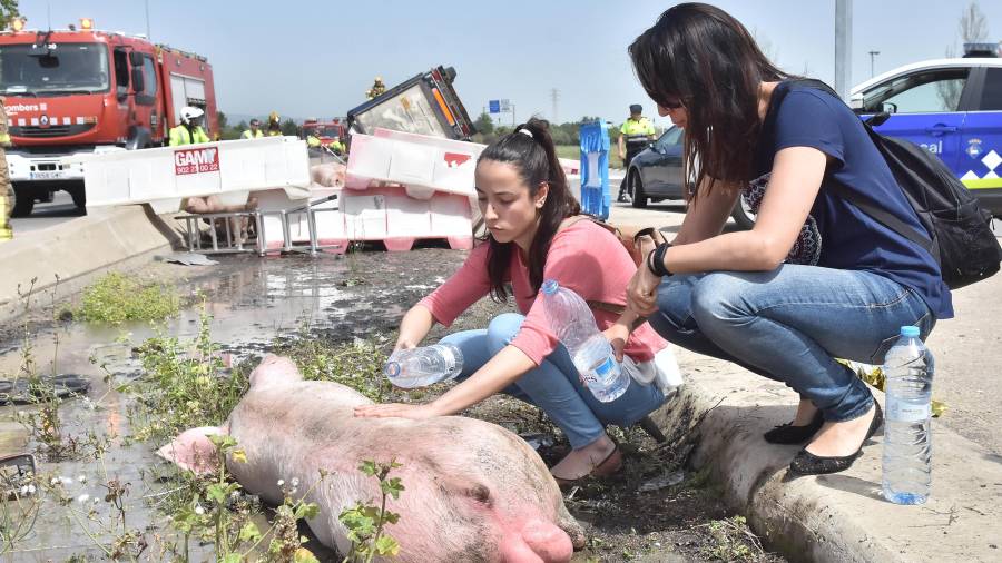 Dos activistas en el lugar del accidente del camión. FOTO: Alfredo González