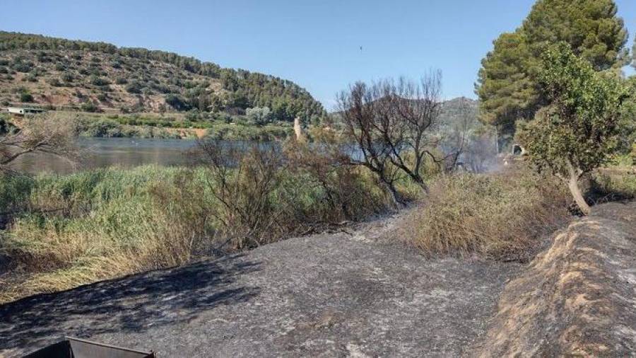Imatge de la zona cremada, al costat del riu Ebre. Foto: Bombers de la Generalitat