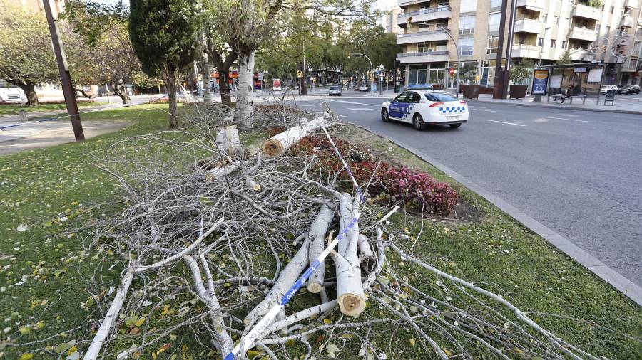 Imagen de los estragos que causó ayer en el viento en Tarragona. Foto: Pere Ferré
