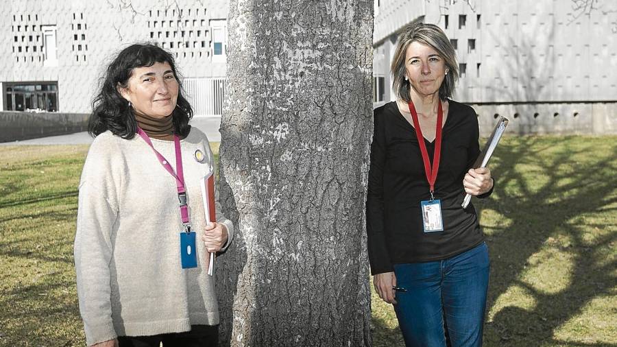 Marisa Panisello i Pilar Montesó, dues de les investigadores de l’estudi i professionals del Campus Terres de l’Ebre de la URV. FOTO: JOAN REVILLAS
