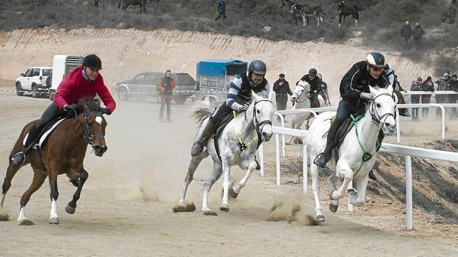 Les tradicionals corrides de cavalls durant les festes de Sant Antoni a Ascó. FOTO: Joan Revillas
