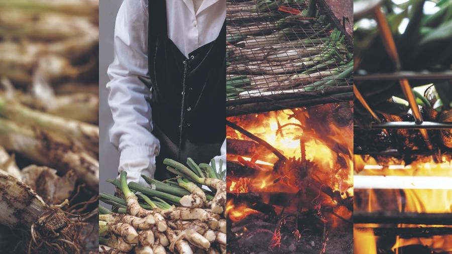 Ya sea en masias particulares o restaurantes, la calçotada es un evento que reúne cada año a miles de familias y amigos en Valls y en el resto de la comarca del Alt Camp.