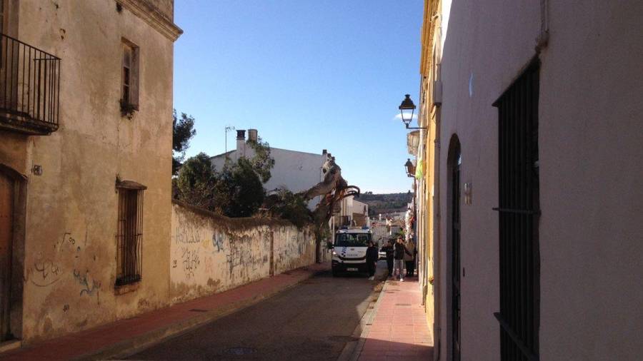 Imatge del pi del carrer del Pi de Sant Pere de Ribes tombat pel vent difosa per l'Ajuntament a través de Twitter. FOTO: ACN