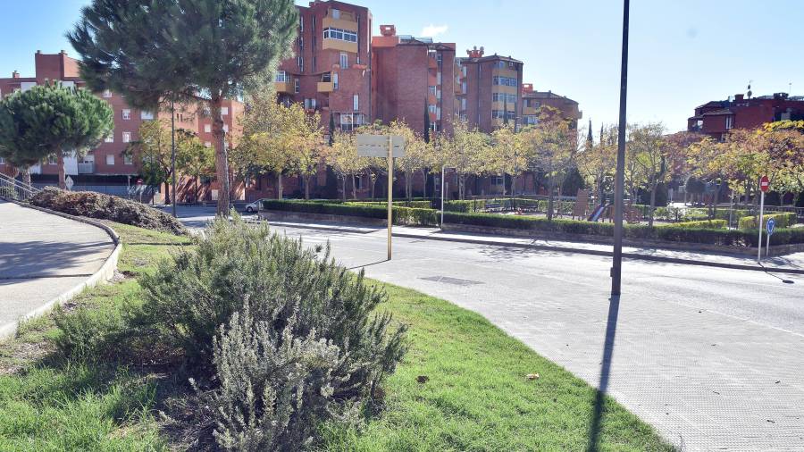 Via Pública millorarà la zona verda del voltant de la plaça Sagrada Família del barri Gaudí. FOTO: A. González