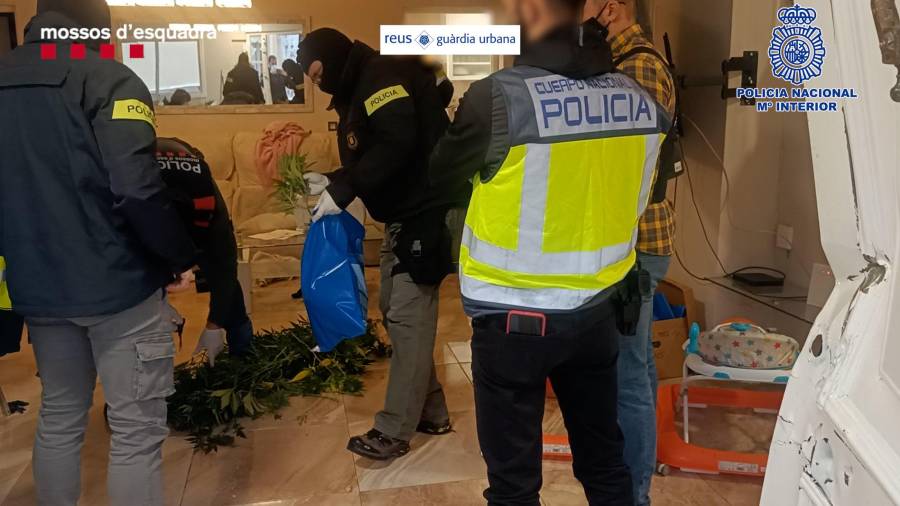 Detenidas 13 personas en un macrooperativo policial contra un peligroso clan de la droga en Tarragona