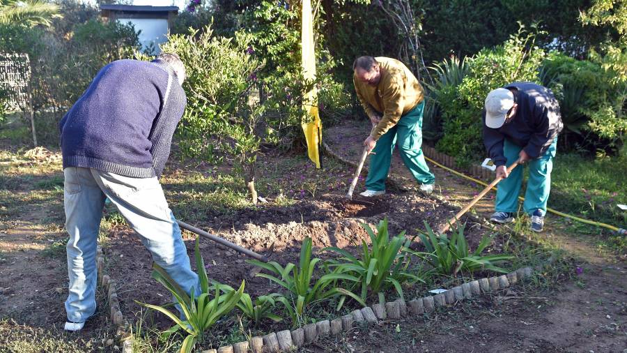 Los usuarios son los encargados del mantenimiento de las plantaciones del huerto. foto: Alfredo González