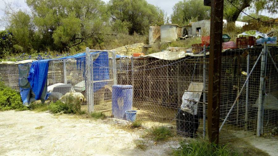 Las instalaciones no estén en condiciones para los animales según los informes.
