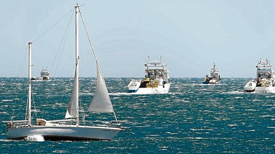 Grup Balfegó utilizará para la campaña de este año dos barcos propios, más 5 de fuera y 16 embarcaciones exteriores. FOTO: Joan Revillas