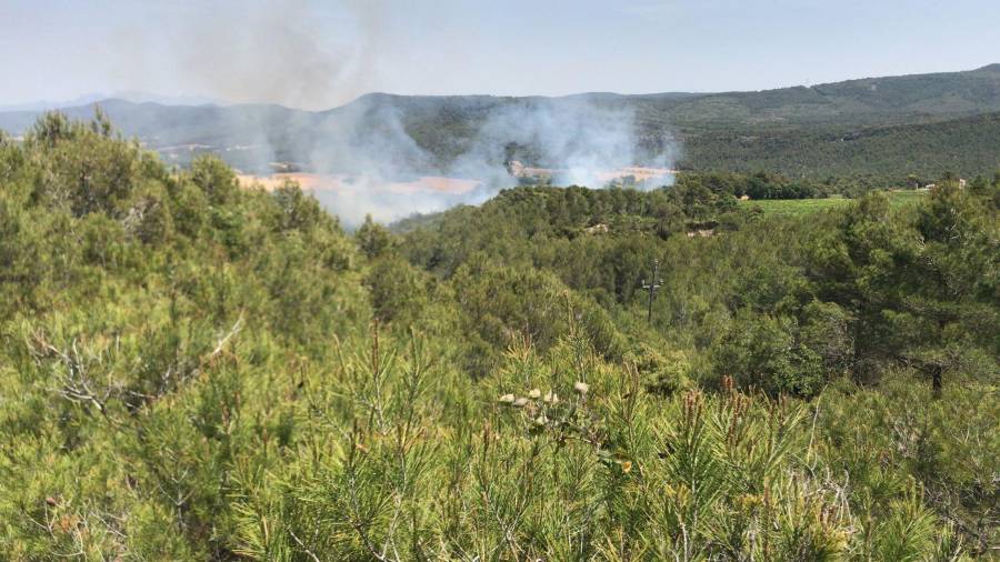 Un incendi forestal a Querol amenaça una important massa forestal