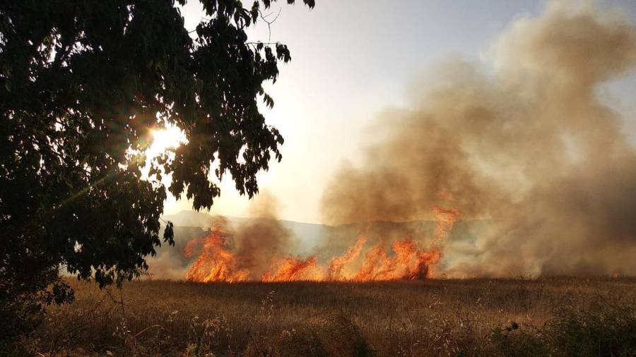 Un incendi talla la carretera entre Alcover i Vilallonga del Camp