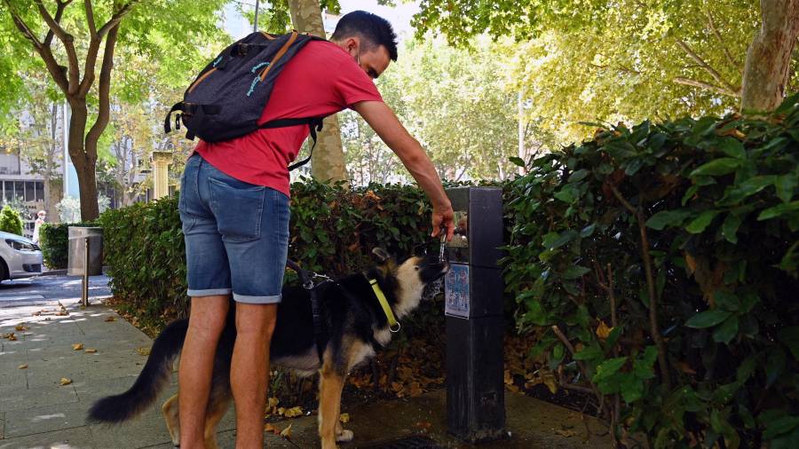 Un ciudadano dando de beber a su perro en una fuente de la ciudad. FOTO: ALFREDO GONZÁLEZ