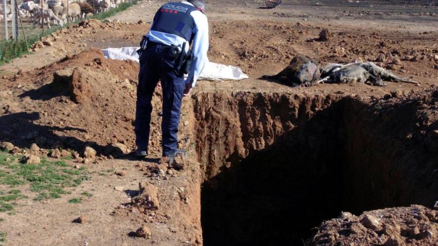 Imagen de los terrenos donde se han encontrados las fosas con los cadáveres. FOTO: CME