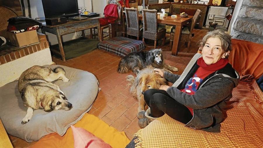 Montse Bou acompanyada dels tres gossets a la finca de Fontscaldes. FOTO: pere ferré