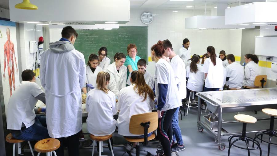 Alumnos de la facultad de Medicina de la Universitat Rovira i Virgili en Reus en 2018. FOTO: alba mariné