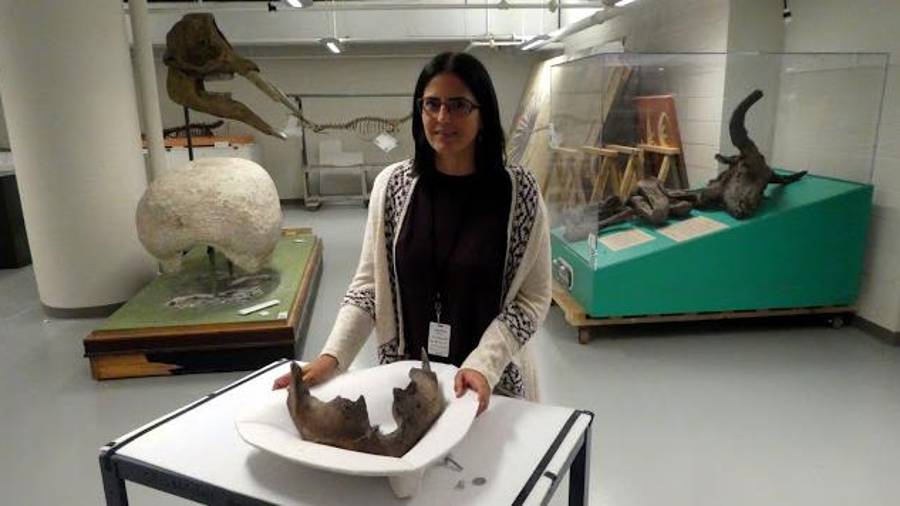 Lucía López-Polín en el Smithsonian National Museum of Natural History (Washington D.C.) - S.Jabo.