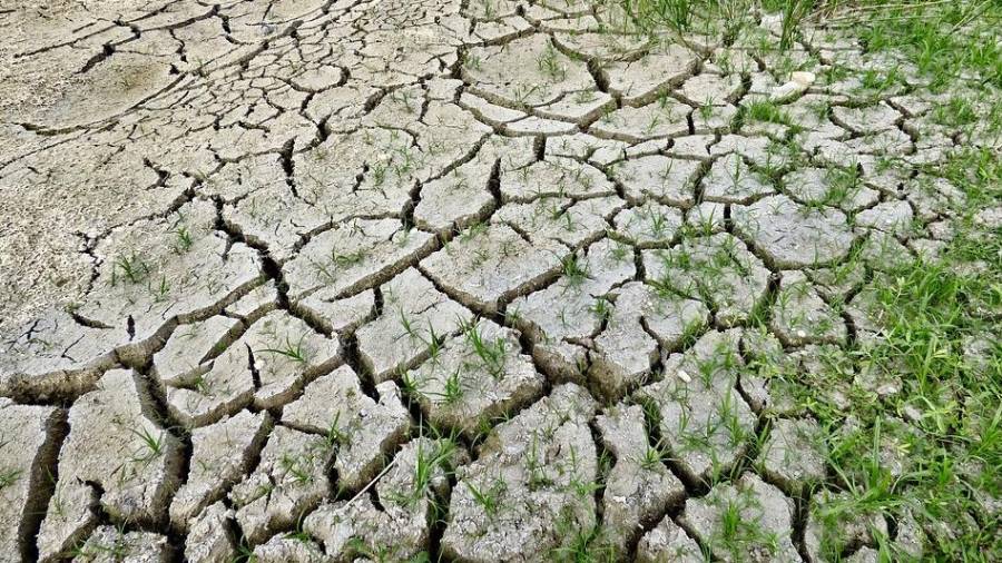 La sequía es una de las consecuencias. FOTO: pixabay