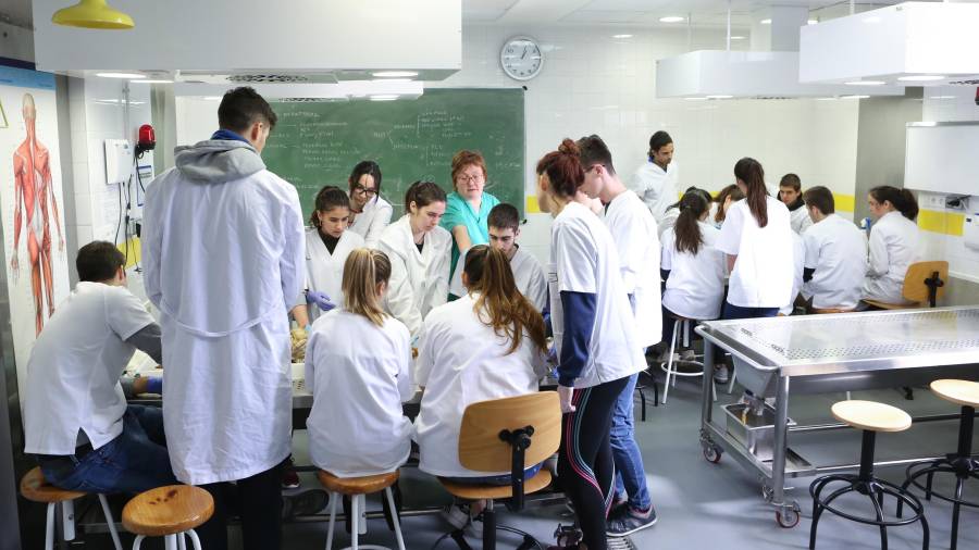 Alumnos de Medicina de la Universitat Rovira i Virgili en una imagen de archivo. FOTO: ALBA MARINÉ
