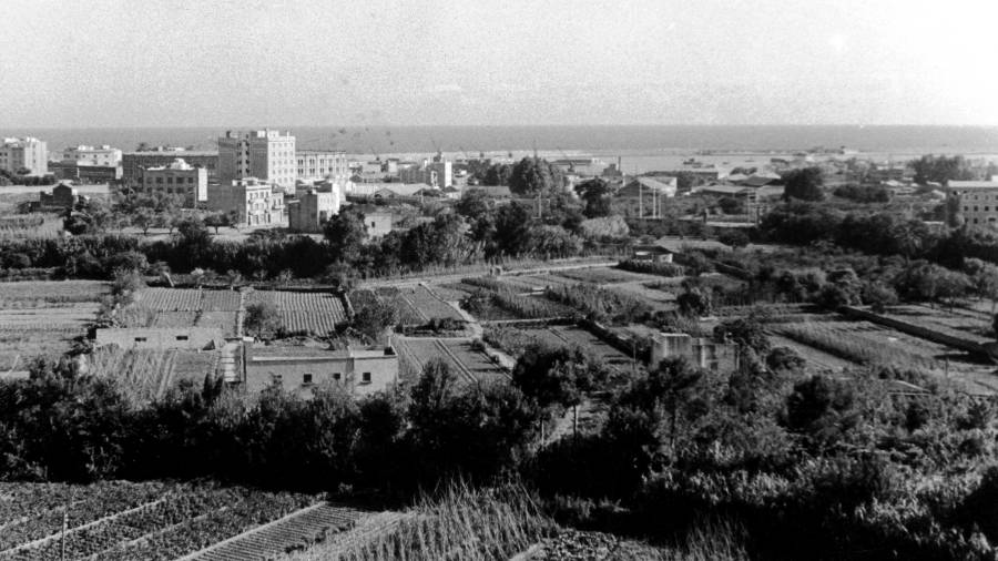 Imatge adjunta: vista de les hortes que envoltaven la ciutat a inicis dels anys cinquanta, gairebé a tocar de la Plaça de Toros. Foto Vallvé. Centre d'Imatges de Tarragona / L'Arxiu.
