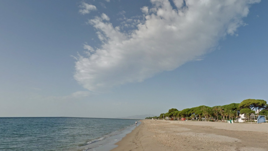 Los restos de animales degollados los encontró una señora paseando por la playa de Vilafortuny.