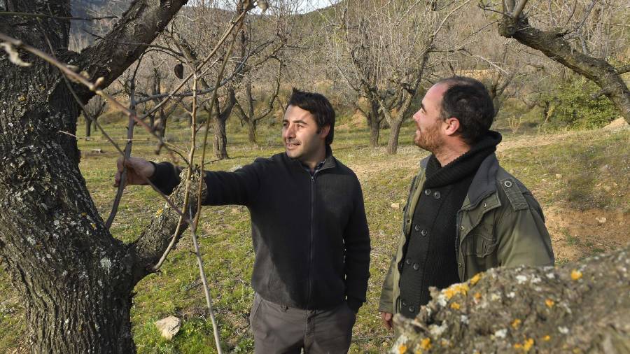 Joan Jordi Solé y Gessamí Sardà visitan unos terrenos recuperados en Vilaplana. FOTO: alfredo gonzález