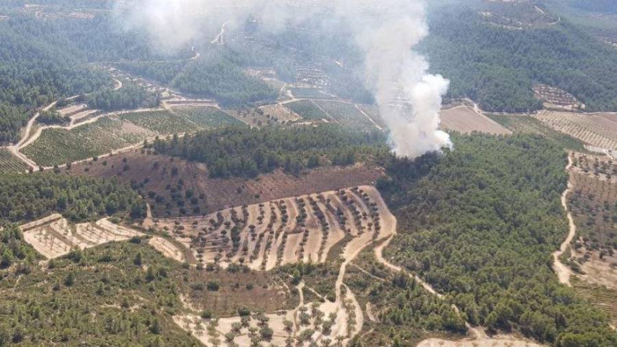 Columna del fuego localizadop en una zona forestal del término de Caseres, en La Terra Alta. FOTO: Bombers de la Generalitat
