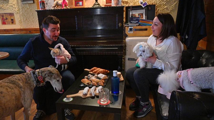 Raúl Juárez, de The Green Dog Café, Silvia Molina, de La Casa del Bou, y perros degustando las ‘Mascotapas’ en los comederos. FOTO: A. G.