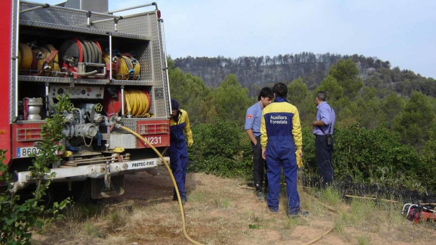 Els bombers, durant les tasques d’extinció d’aquest incendi forestal el 2006. FOTO: DT