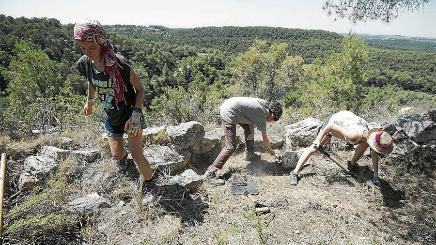 Els joves estudiants d’Arqueologia, en plena feina a la zona dels Barrancs. FOTO: Joan Revillas