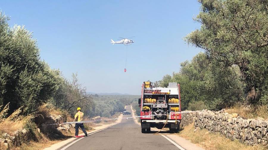 El foc de la Sénia va obligar a tallar la carretera de Mas de Barberans. FOTO: POLICIA LOCAL SÉNIA