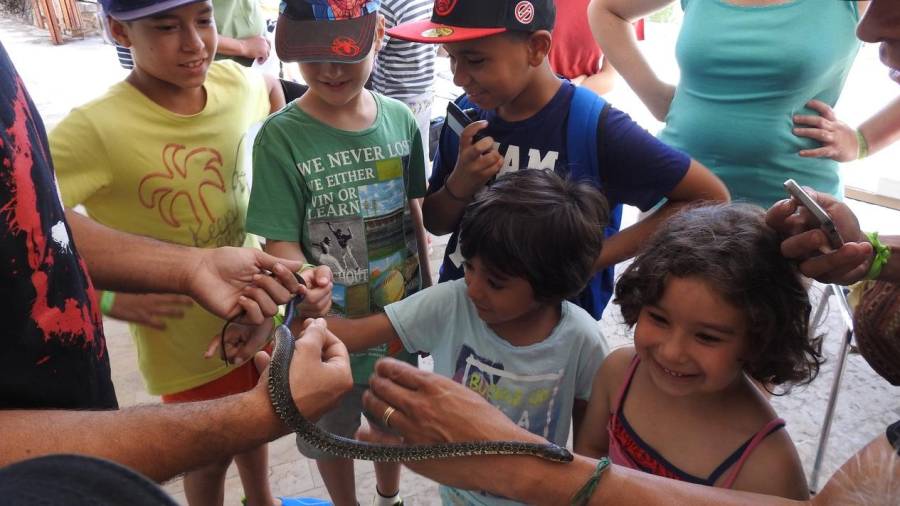 Els nens mirant una de les serps autòctones del Mediterrani.