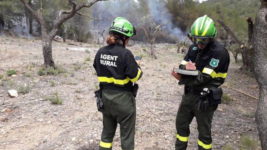 Los Agents Rurals en la zona afectada entre Tivissa y Rasquera. FOTO: Agents Rurals