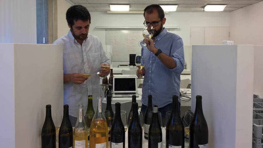 Javier Luengo y Juan Luís Morales, miembros del equipo de cata de Guía Peñín. Foto: cedida