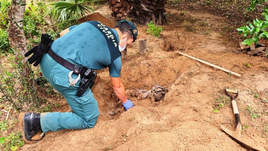 Un agent de la Guàrdia Civil desenterrant un dels animals morts.FOTO: GUÀRDIA CIVIL