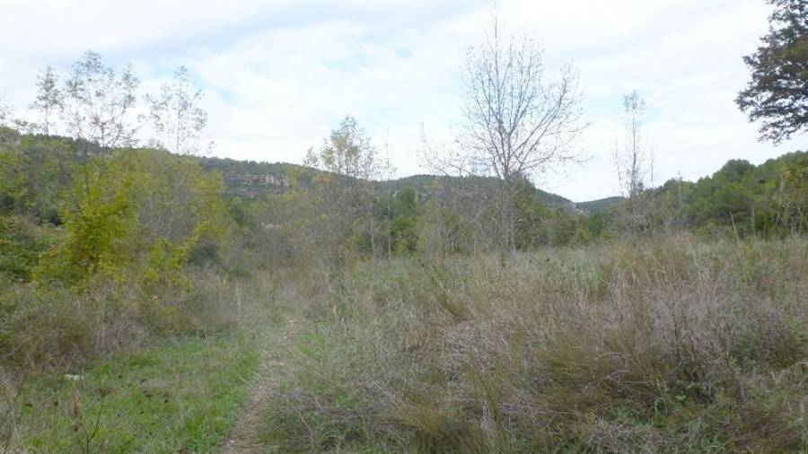 L’àmbit de l'actuació se situa aigües avall de l’antiga estació d’aforament de Querol. Foto: Cedida