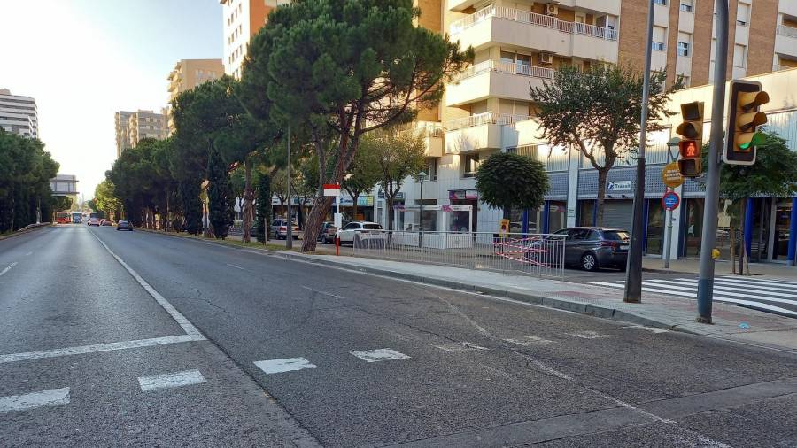 Entran en funcionamiento las nuevas paradas de bus de la Avenida Roma de TGN