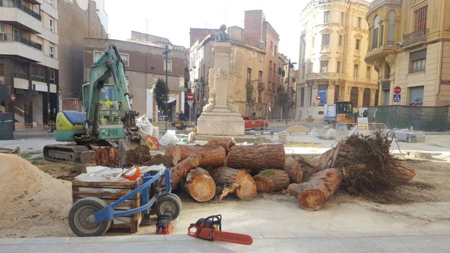 Imagen de los troncos de los pinos de la plaza de Catalunya, una vez talados este lunes. Foto: Alba Mariné