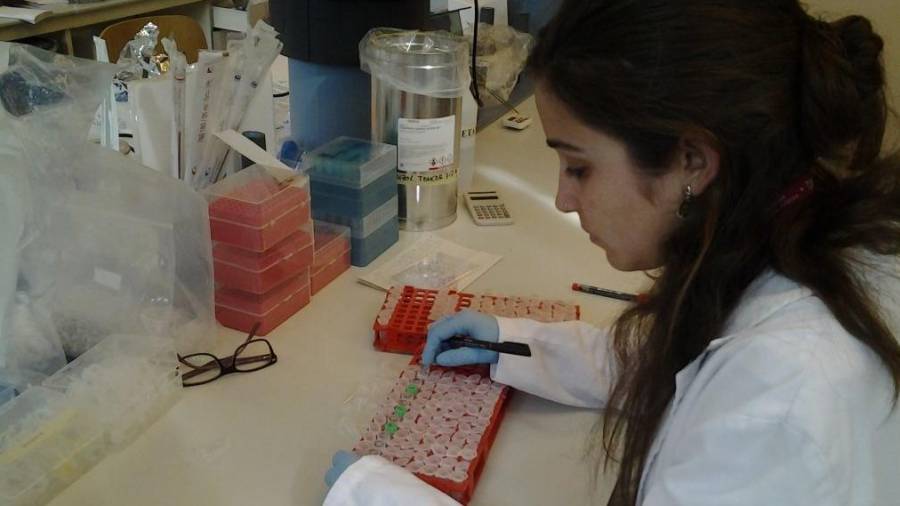 La URV se vuelca en la realización de los test PCR, de gran fiabilidad para el diagnóstico. FOTO: URV