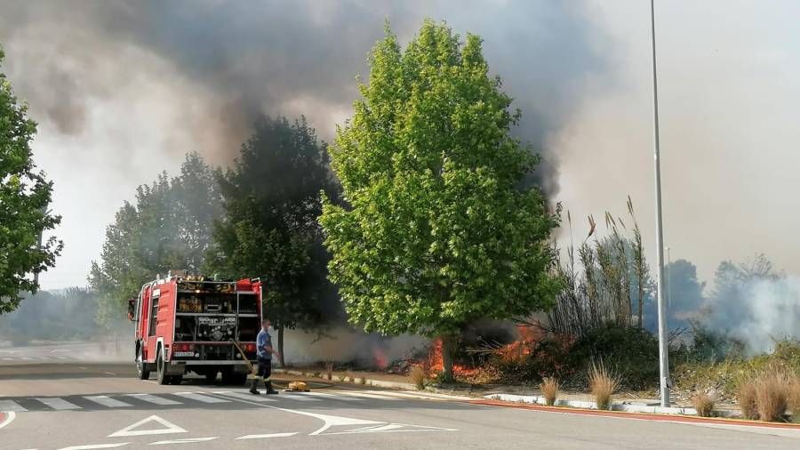 El incendio de matorrales entre Reus y La Canonja. FOTO: CEDIDA