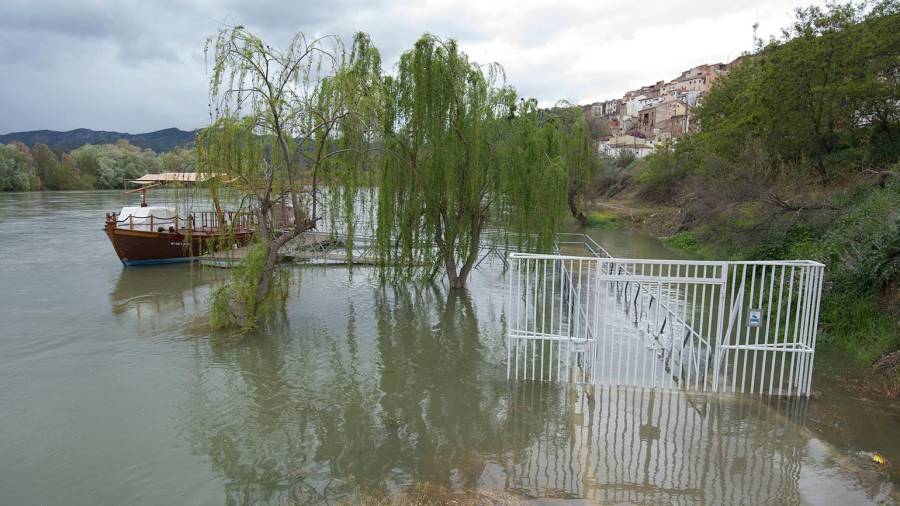 Embarcador inundat a Ascó. Foto: Joan Revillas