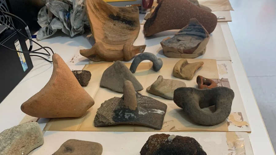 Algunos de los restos encontrados en la playa de Cunit hace unos días.