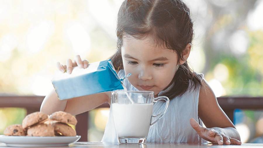El consumo de leche y productos lácteos ha disminuido en los niños en las últimas décadas. Foto: getty images