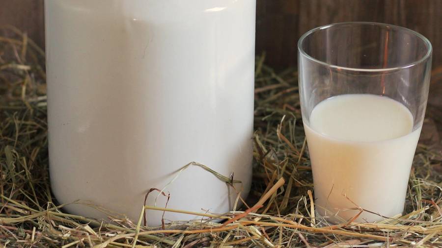 El estudio pretendía averiguar si retrasando la exposición a la leche de vaca disminuiría el riesgo de diabetes. FOTO: Pixabay