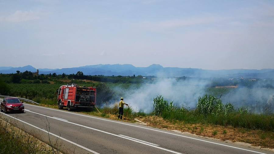 Bombers trabajando en la extinción del incendio que se ha producido este mediodía en Riudoms. FOTO: Alba Mariné