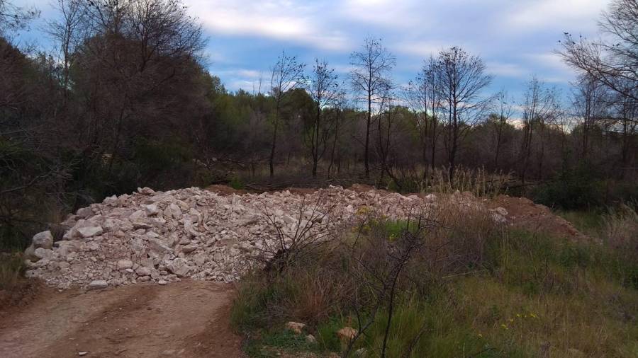 Piedras en el camino para salvar el bosque de Miramar de Cunit