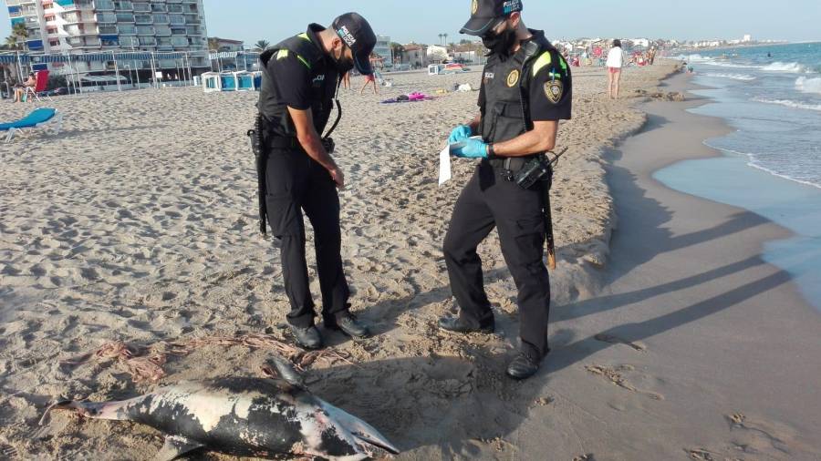 La Policía Local acudió a la playa.
