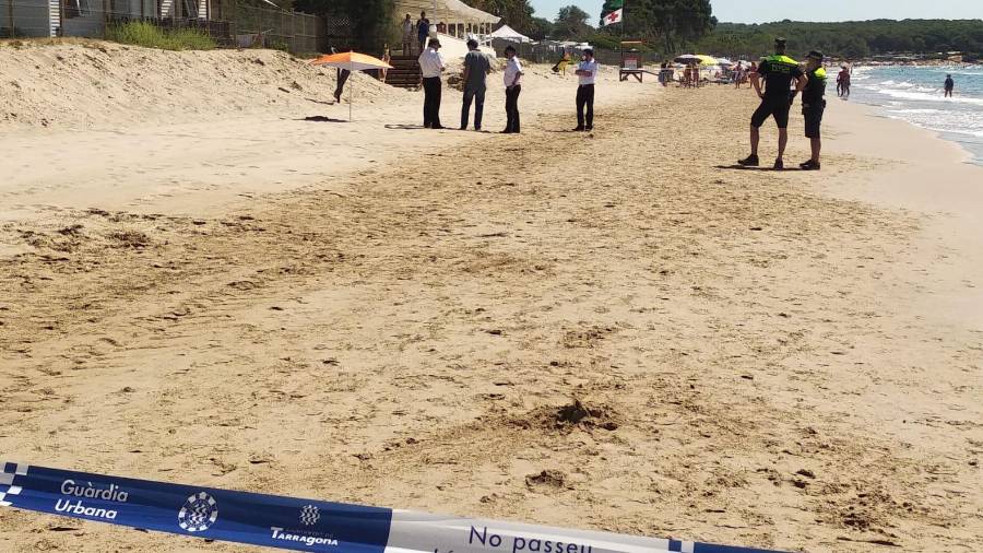 La Guàrida Urbana ha cerrado un tramp de la Platja Llarga. Foto: À. J.