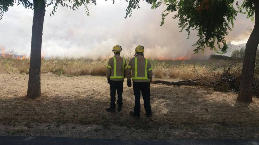 Incendio del pasado 25 de julio en La Canonja. Foto: Àngel Juanpere